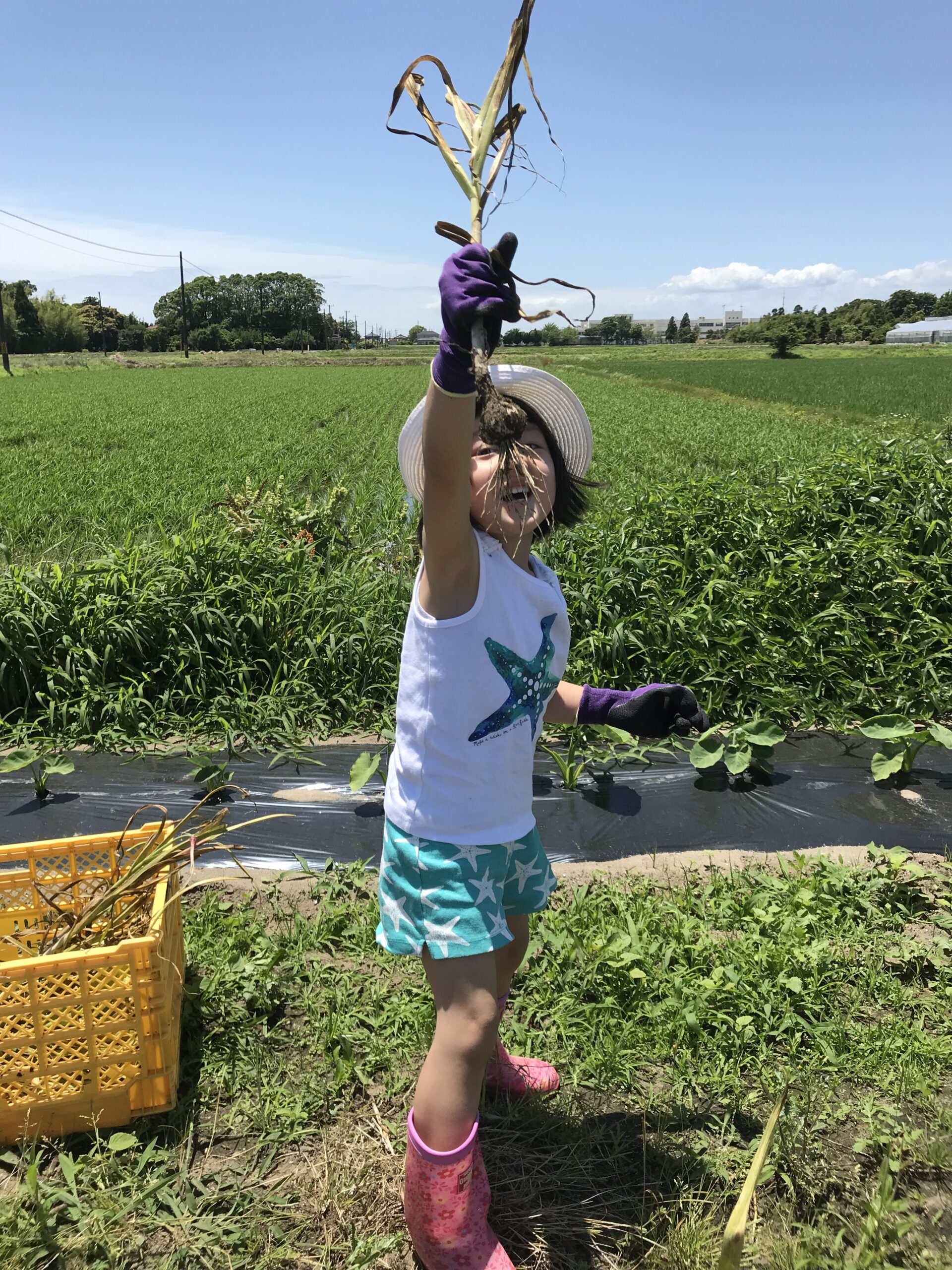 子供は純粋でありのまま生きる